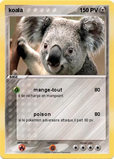 Pokemon koala