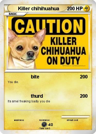 Pokemon Killer chihihuahua