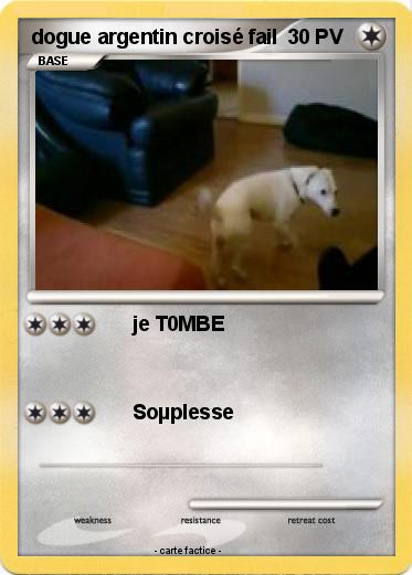 Pokemon dogue argentin croisé fail