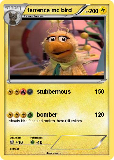 Pokemon terrence mc bird