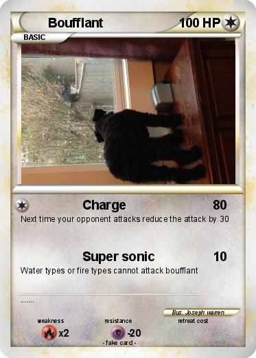 Pokemon Boufflant