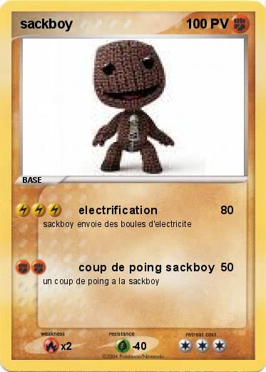 Pokemon sackboy