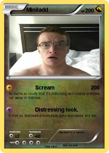Pokemon Miniladd