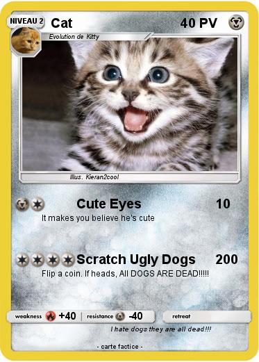 Pokemon Cat