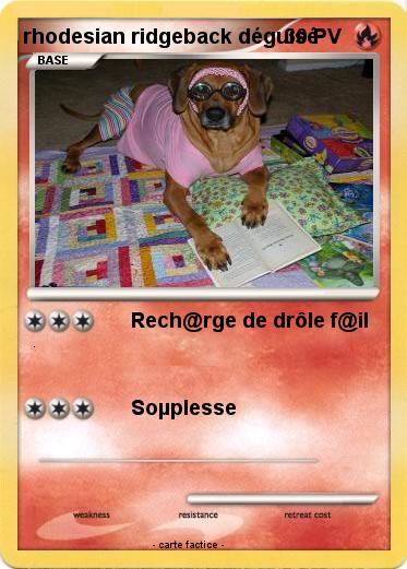 Pokemon rhodesian ridgeback déguisé