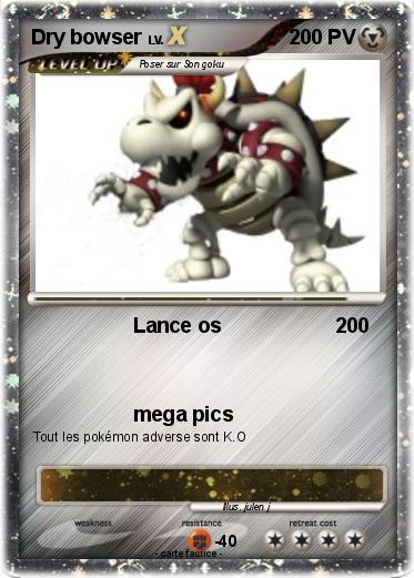 Pokemon Dry bowser