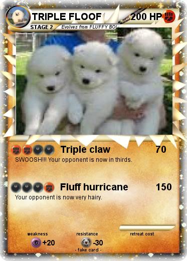Pokemon TRIPLE FLOOF