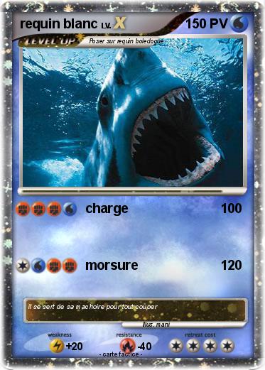 Pokemon requin blanc