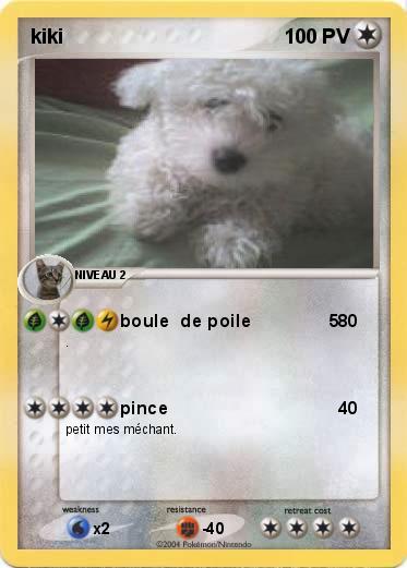 Pokemon kiki                         