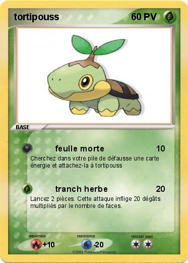 Pokemon tortipouss
