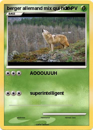 Pokemon berger allemand mix qui hurle
