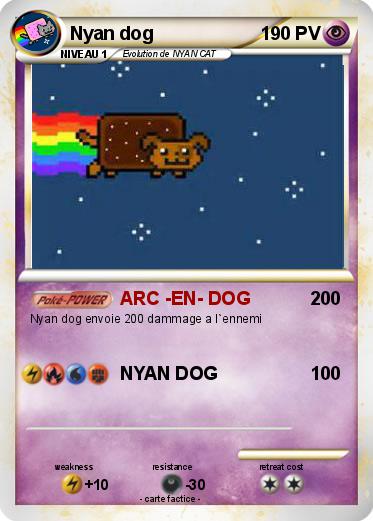 Pokemon Nyan dog