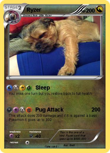 Pokemon Ryzer