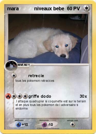 Pokemon mara            niveaux bebe