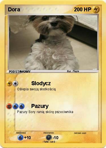 Pokemon Dora
