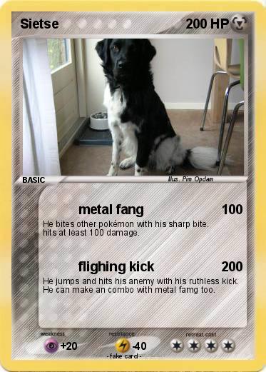 Pokemon Sietse