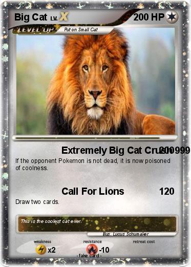 Pokemon Big Cat