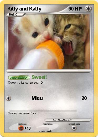 Pokemon Kitty and Katty