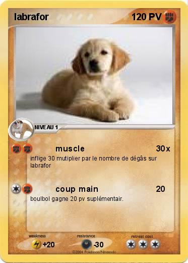 Pokemon labrafor