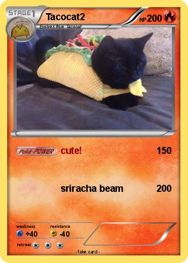 Pokemon Tacocat2