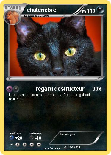 Pokemon chatenebre