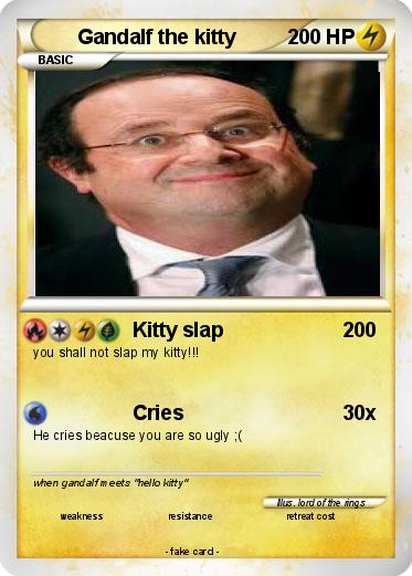Pokemon Gandalf the kitty