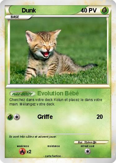 Pokemon Dunk