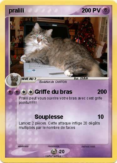 Pokemon pralili