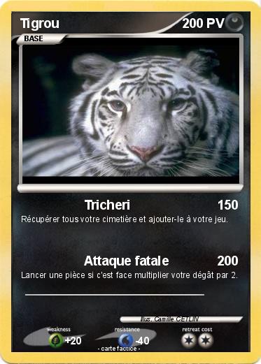 Pokemon Tigrou
