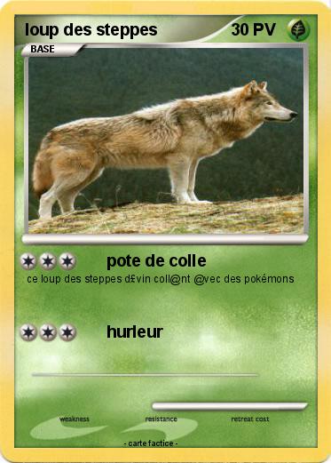 Pokemon loup des steppes