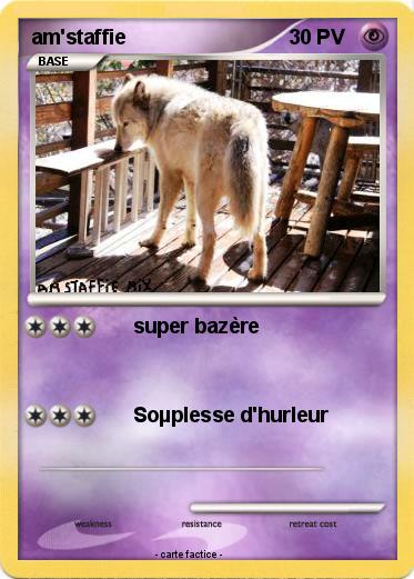 Pokemon am'staffie