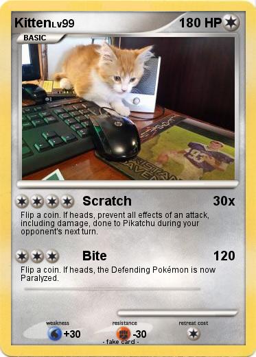 Pokemon Kitten