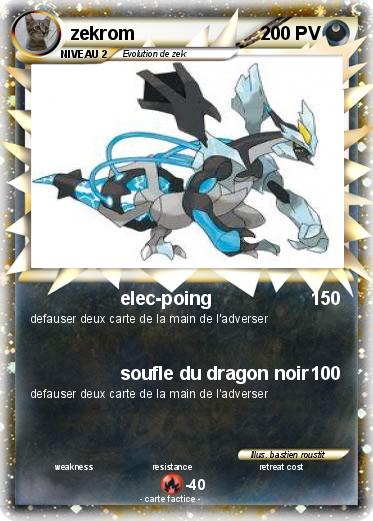 Pokemon zekrom