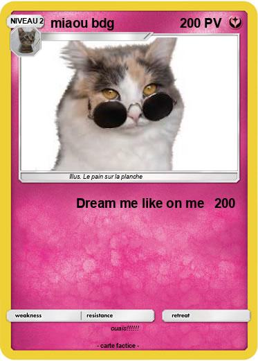 Pokemon miaou bdg