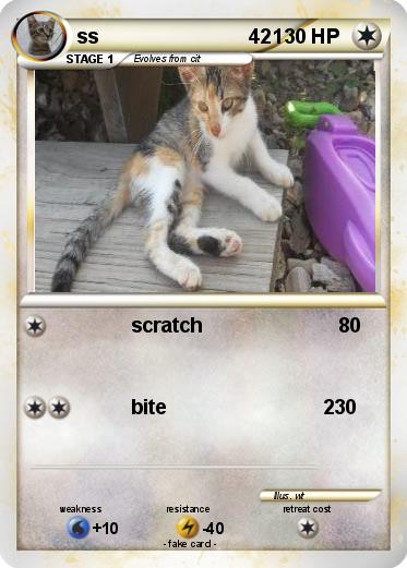 Pokemon ss                           421