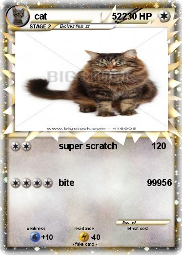 Pokemon cat                          522