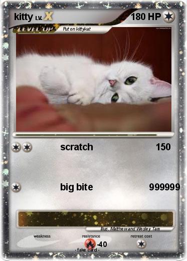 Pokemon kitty
