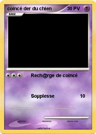 Pokemon coincé der du chien
