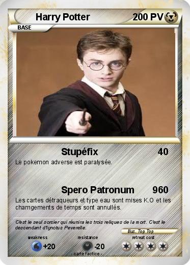 Pokemon Harry Potter