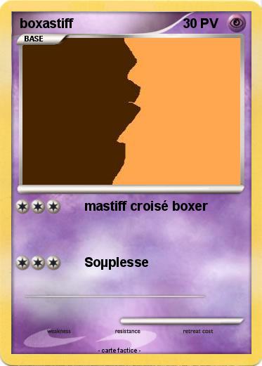 Pokemon boxastiff