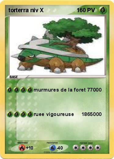 Pokemon torterra niv X                     1