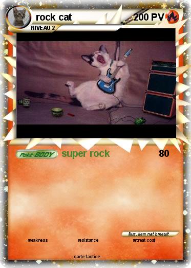 Pokemon rock cat