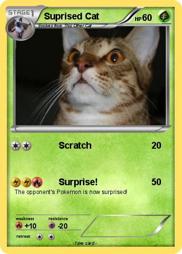 Pokemon Suprised Cat