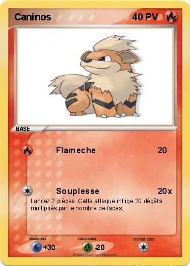 Pokemon Caninos