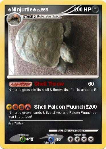 Pokemon ♣Ninjurtle♣