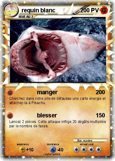 Pokemon requin blanc