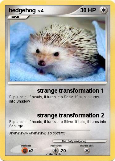Pokemon hedgehog