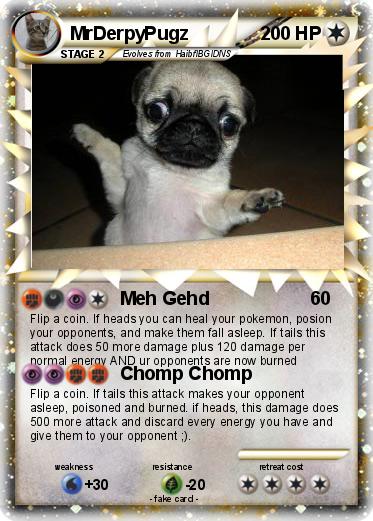 Pokemon MrDerpyPugz