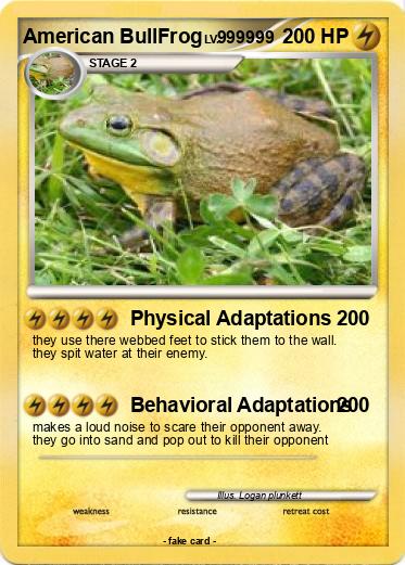 Pokemon American BullFrog