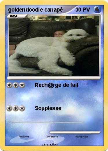 Pokemon goldendoodle canapé